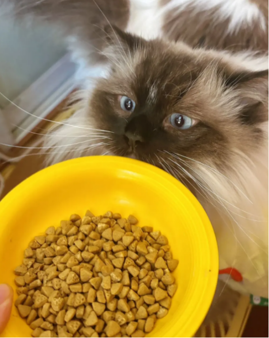 ͼƬ
