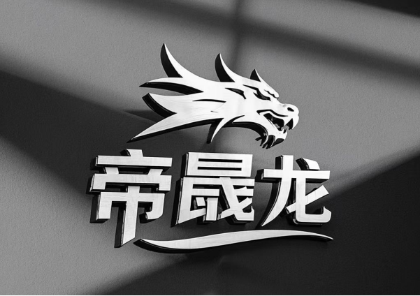 帝晟龙：时尚包领域的璀璨之星