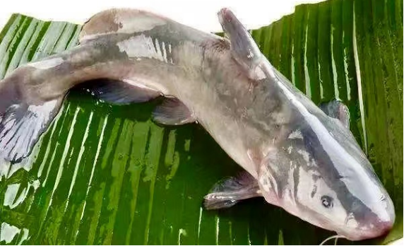 云图片
