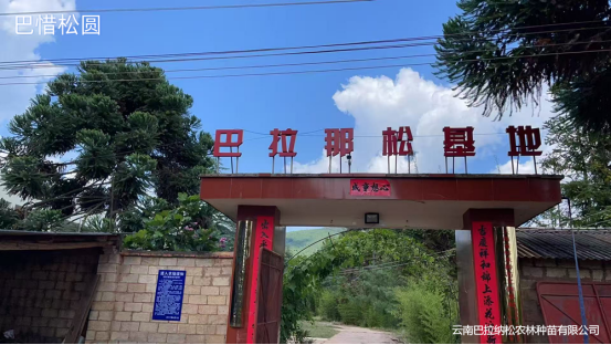云图片