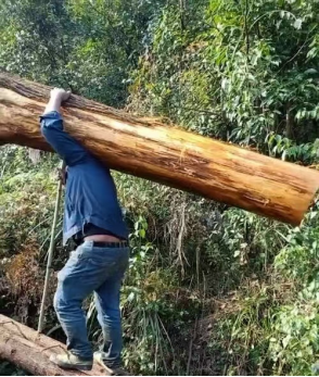 云图片