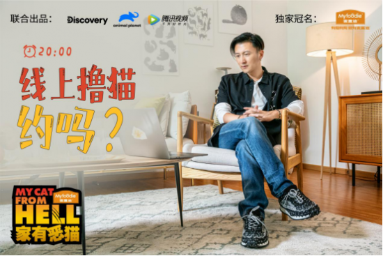 《家有恶猫》收官,麦富迪倡导大家关注动物教育福利